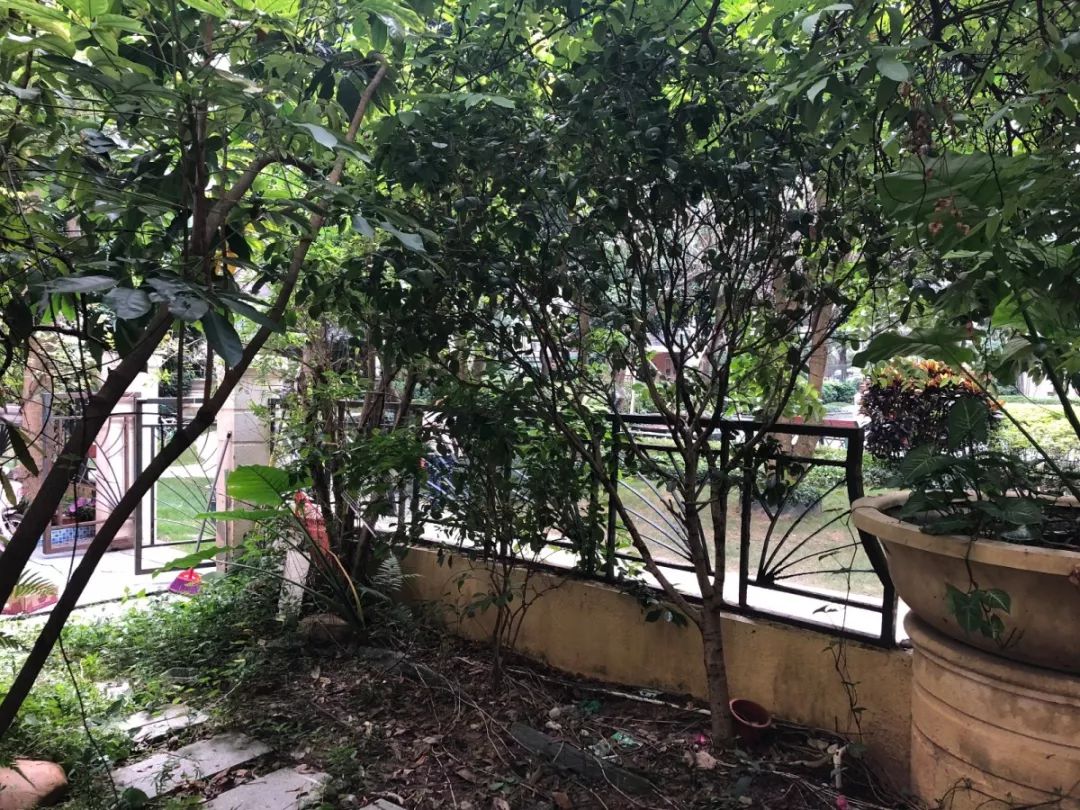 深圳福田 110 平五口之家改造 | 咖啡吧搬回家，三代同堂不拥挤-31