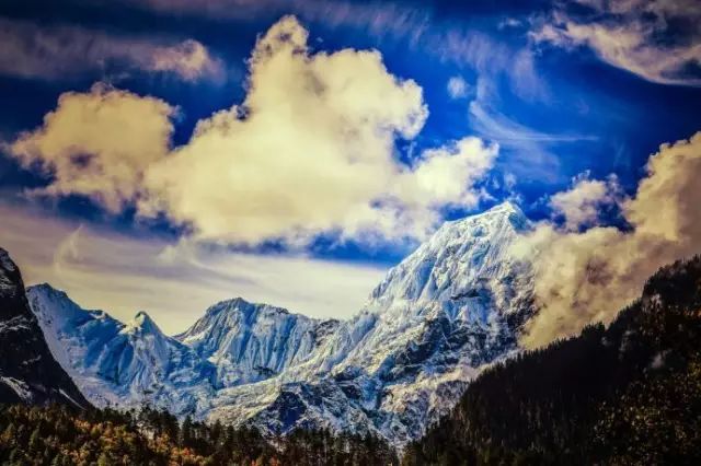 文艺大叔租下8亩林场，花16年种花养草，如今惊艳世人，连美国杂志都给他点赞-11