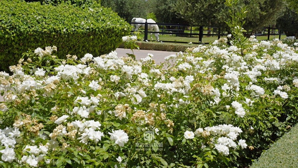 摩洛哥马拉喀什精品度假酒店-8