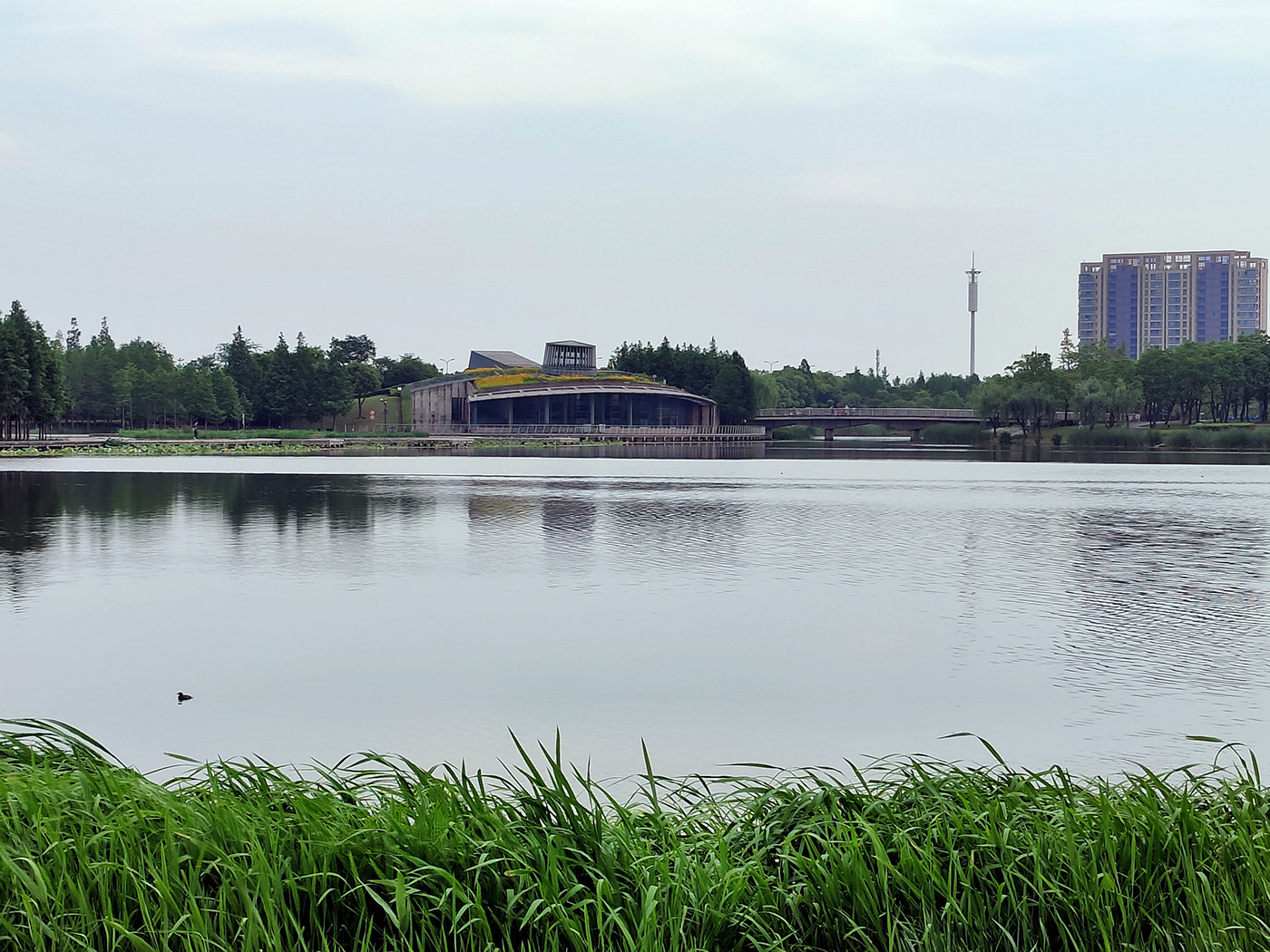 Yuanxiang Lake, Jiading, Shanghai-9