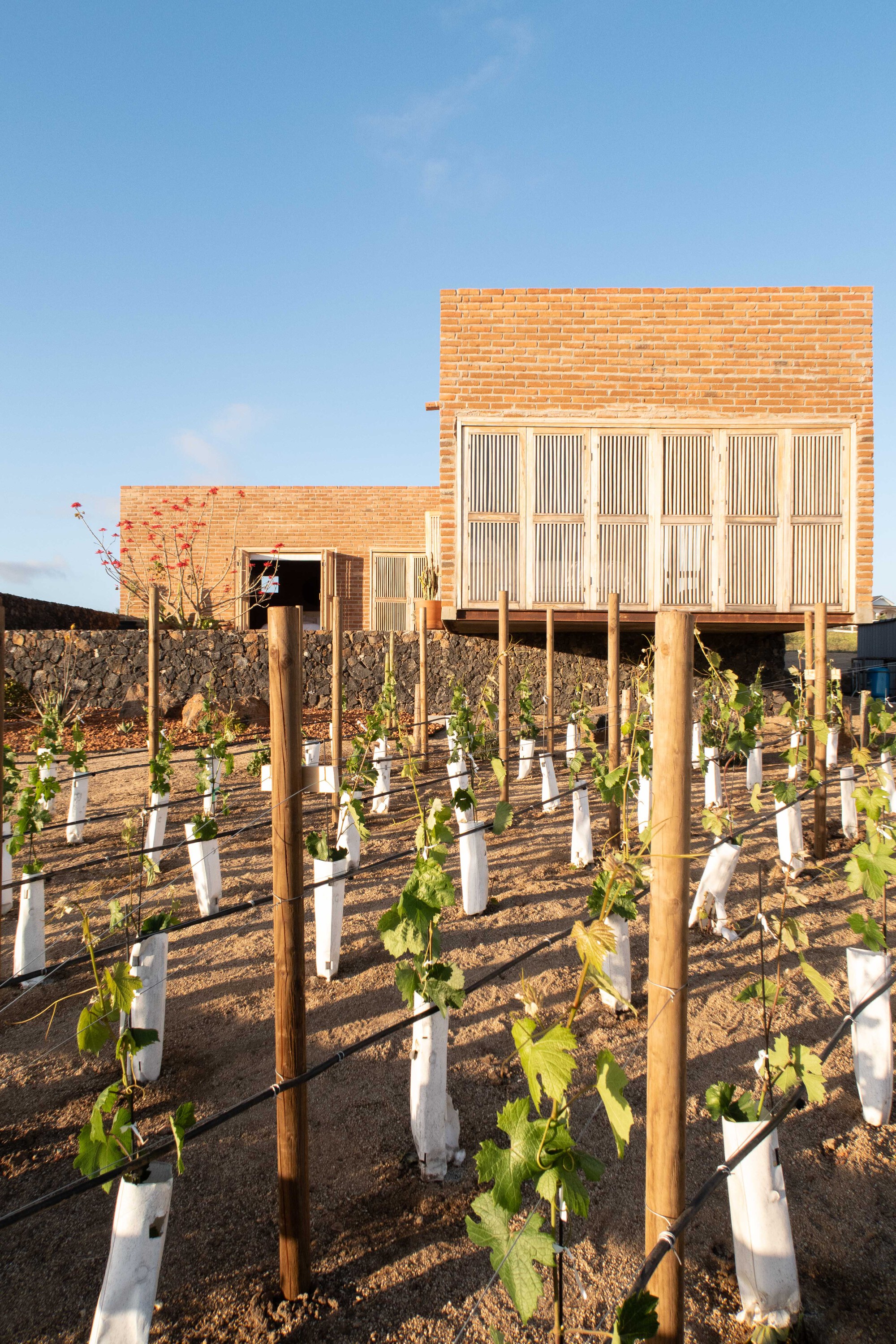 乡村民宿丨墨西哥丨SANTOS BOLIVAR,Dosa studio-14