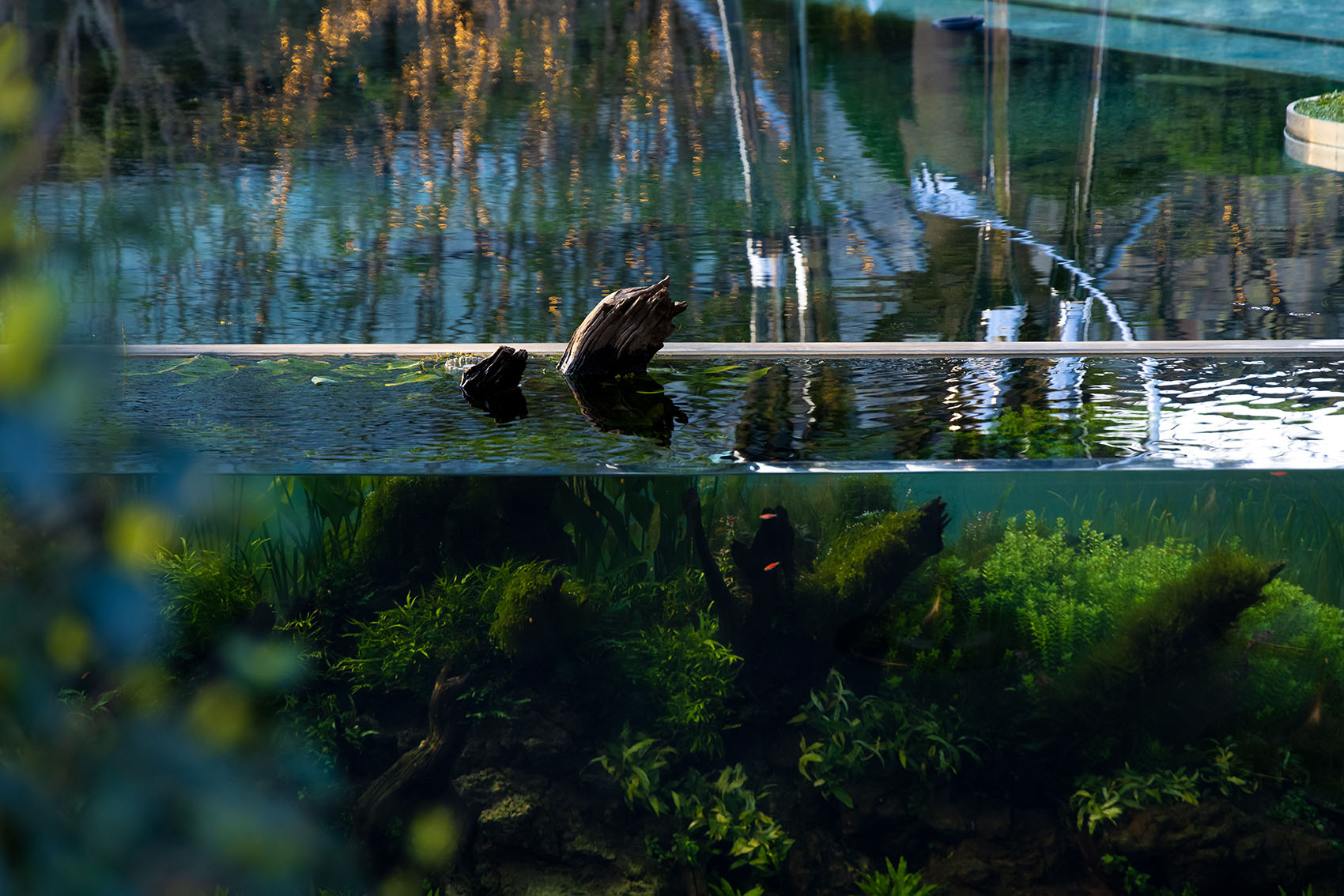 成都宸嘉·嘉佰道景观设计丨中国成都丨WTD纬图设计-55