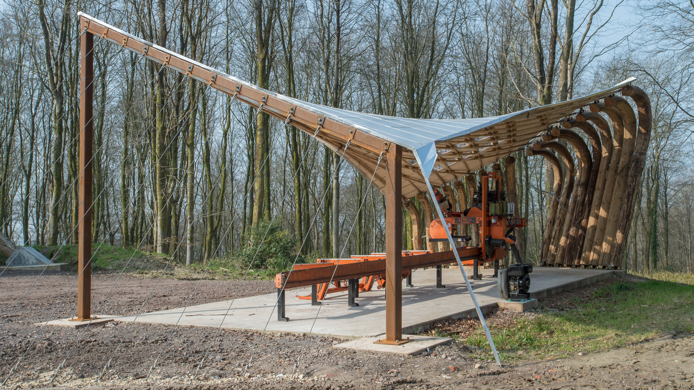 AA Design - Make students test the limits of timber in tensile woodland canopy-0