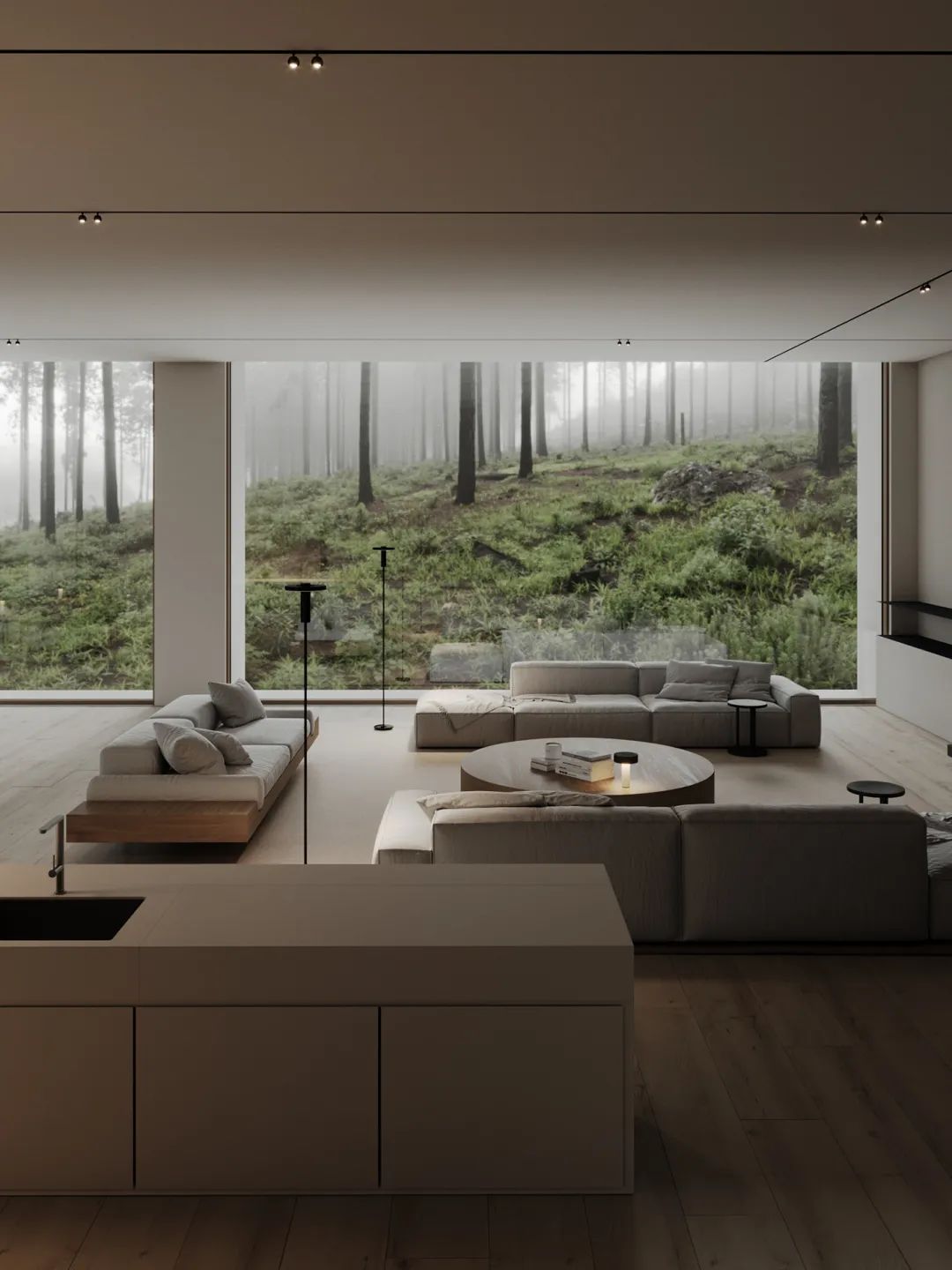 瑞典森林别墅丨Aleksandra Shevchenko-11