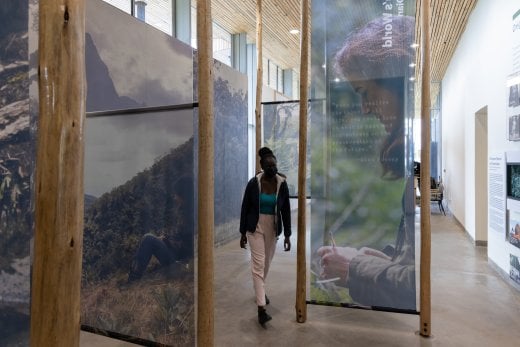 The Ellen DeGeneres Campus of the Dian Fossey Gorilla Fund | MASS Design Group-86