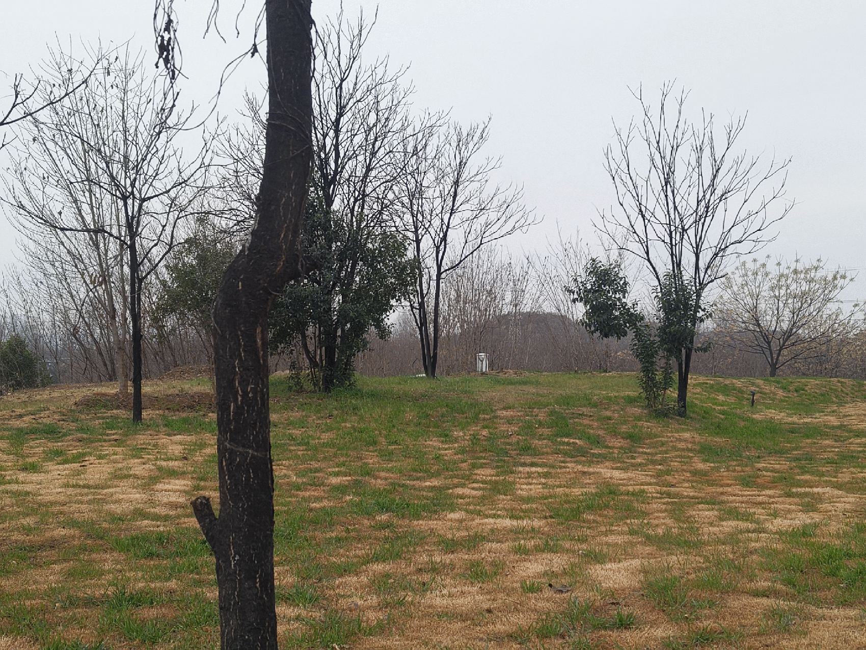 之仓咖啡厅丨中国西安丨MOS木石设计-106