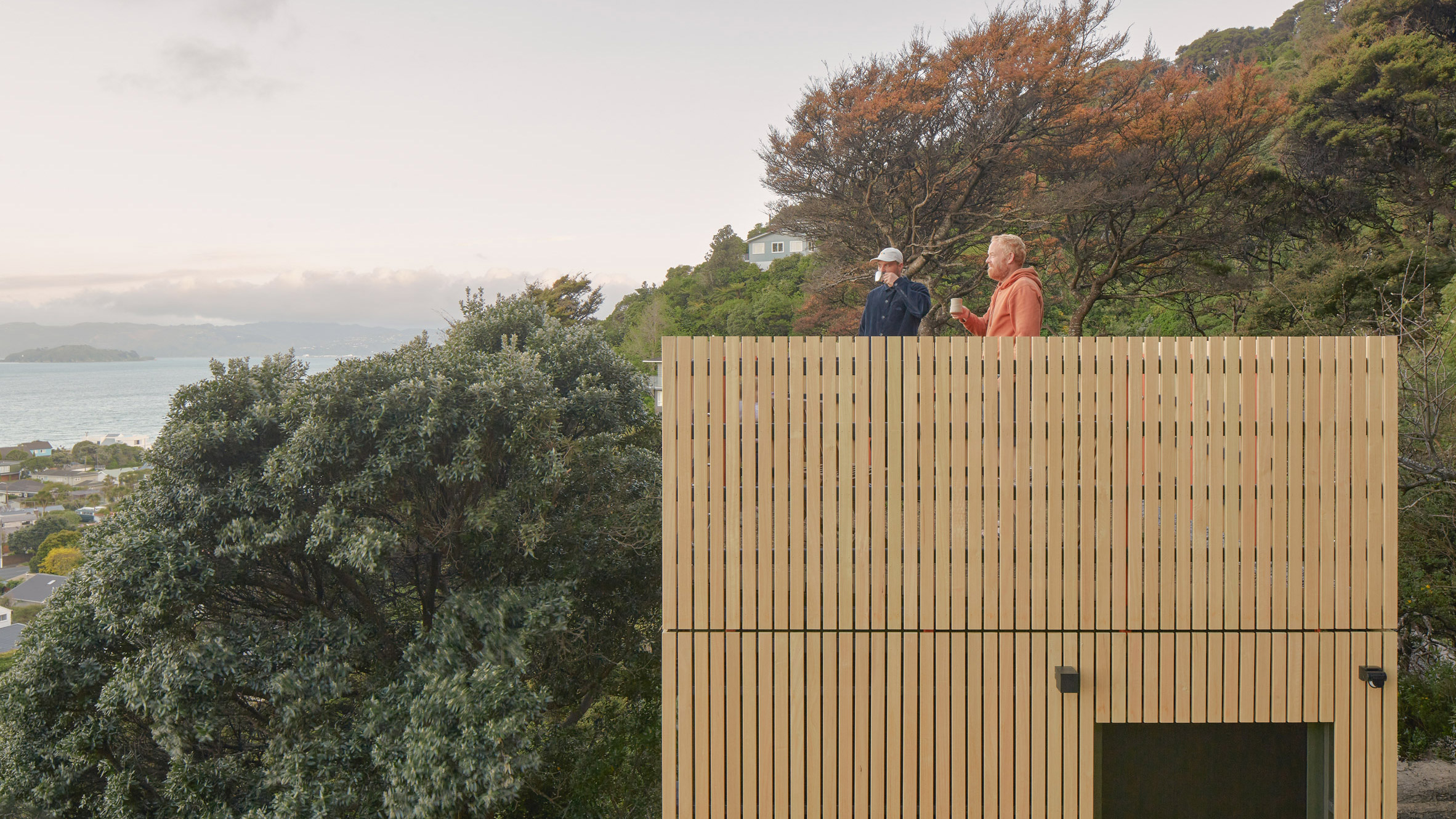 Towering house extension in New Zealand mimics "childhood treehouse"-0