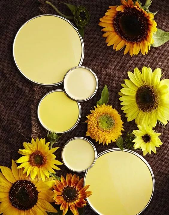 [色彩分享]最美的配色，来自于的大自然！-58