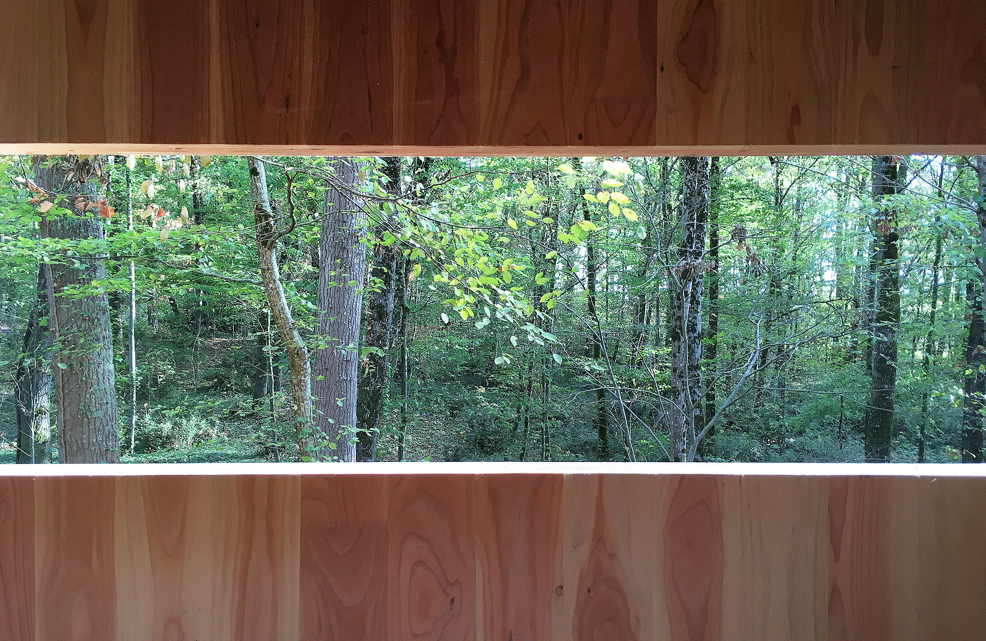 Wooden House  / locallll + SUPHASIDH-37