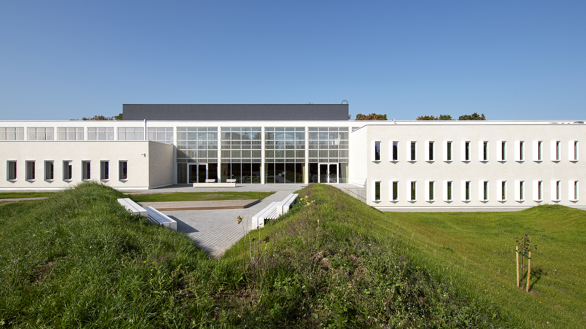 塔比韦雷基础学校丨Arhitekt Must-13