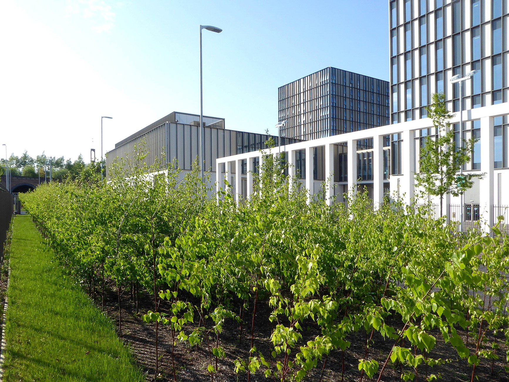 苏格兰格拉斯哥城市学院 | 融入城市景观的绿色校园-18