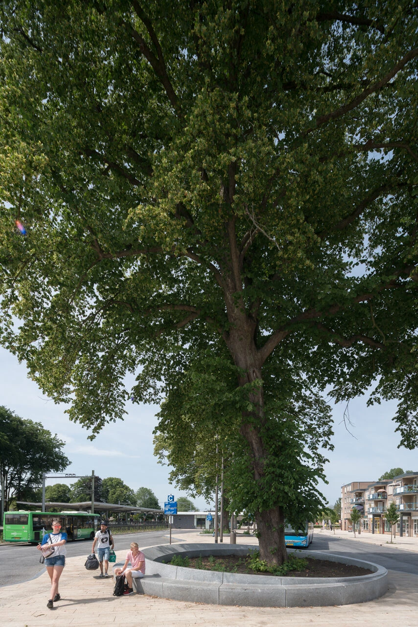 Harderwijk Railway Station-15