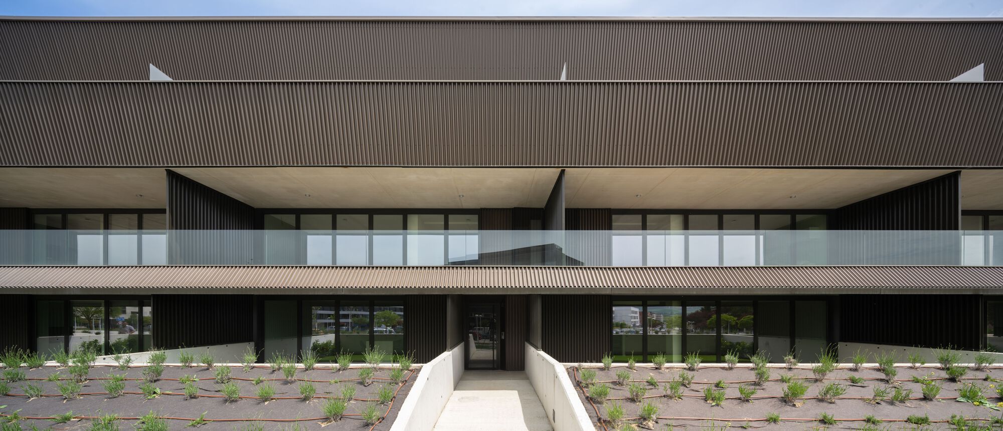 18 座林中房屋丨西班牙纳瓦拉丨Vaillo + Irigaray Architects-28