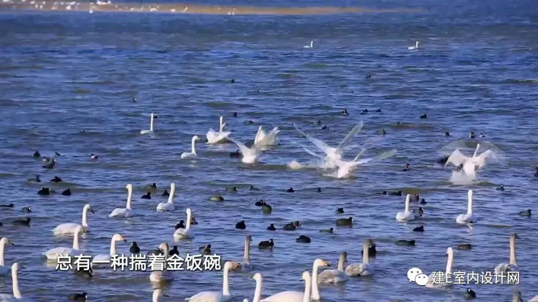 《梦改》孙华锋 | 古村窑洞重生,打造游客心中的“诗和远方”-4