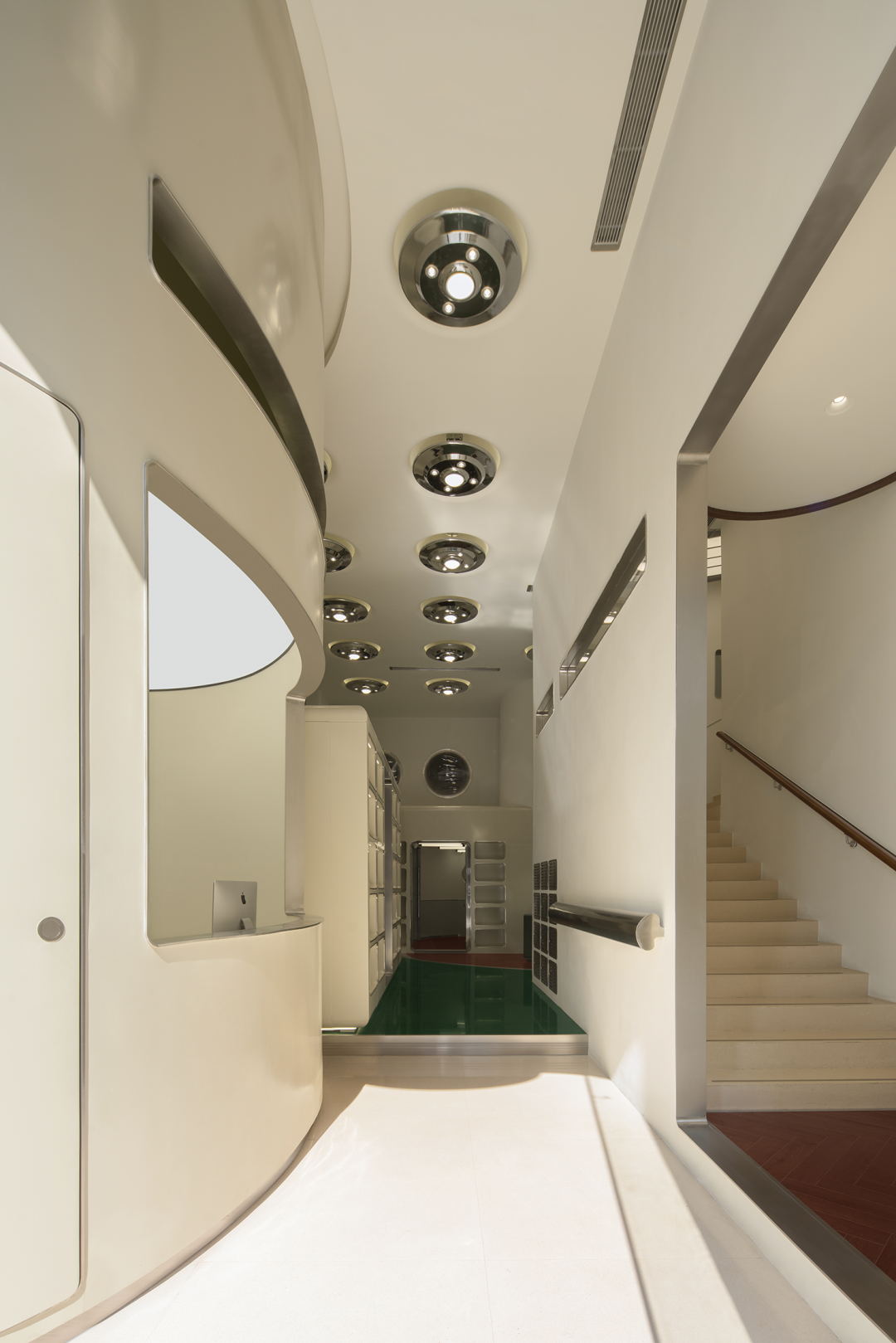 bibu宠物店丨中国广州丨今朝风日好ofD-28