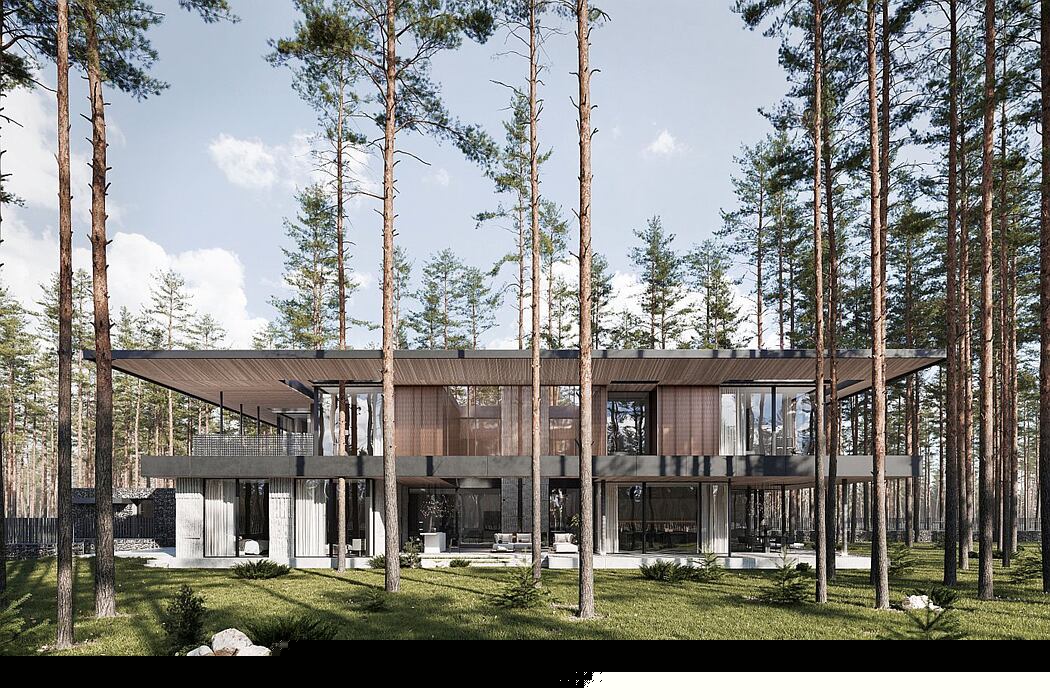 俄罗斯 Repino 别墅丨Kerimov Architects-1