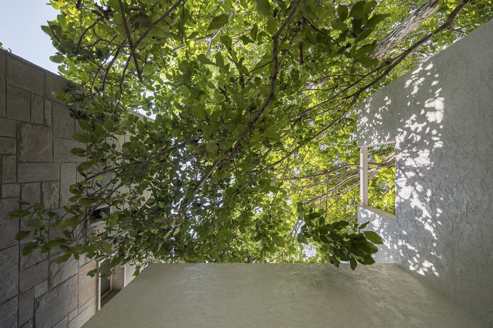 一所位于两个胡桃之间的房子丨伊朗丨KAV Architects-33