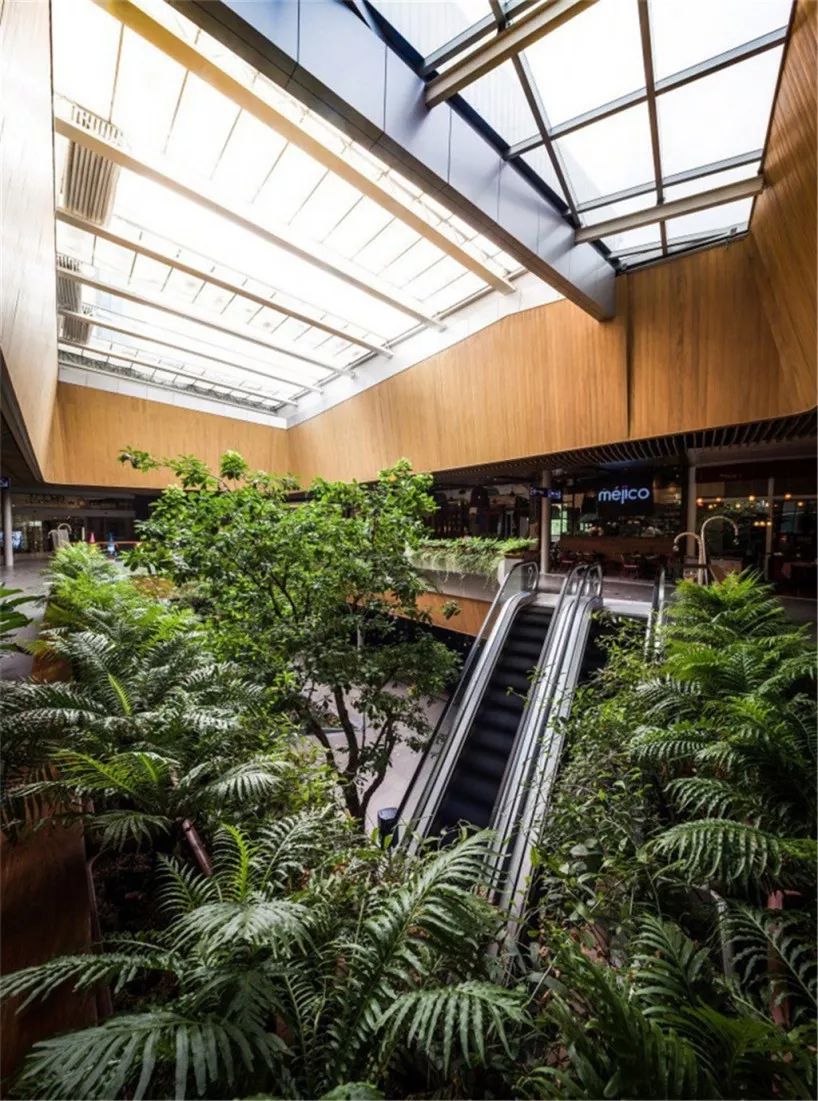 中央世界商业中心 | 露天餐饮激活曼谷街道-19