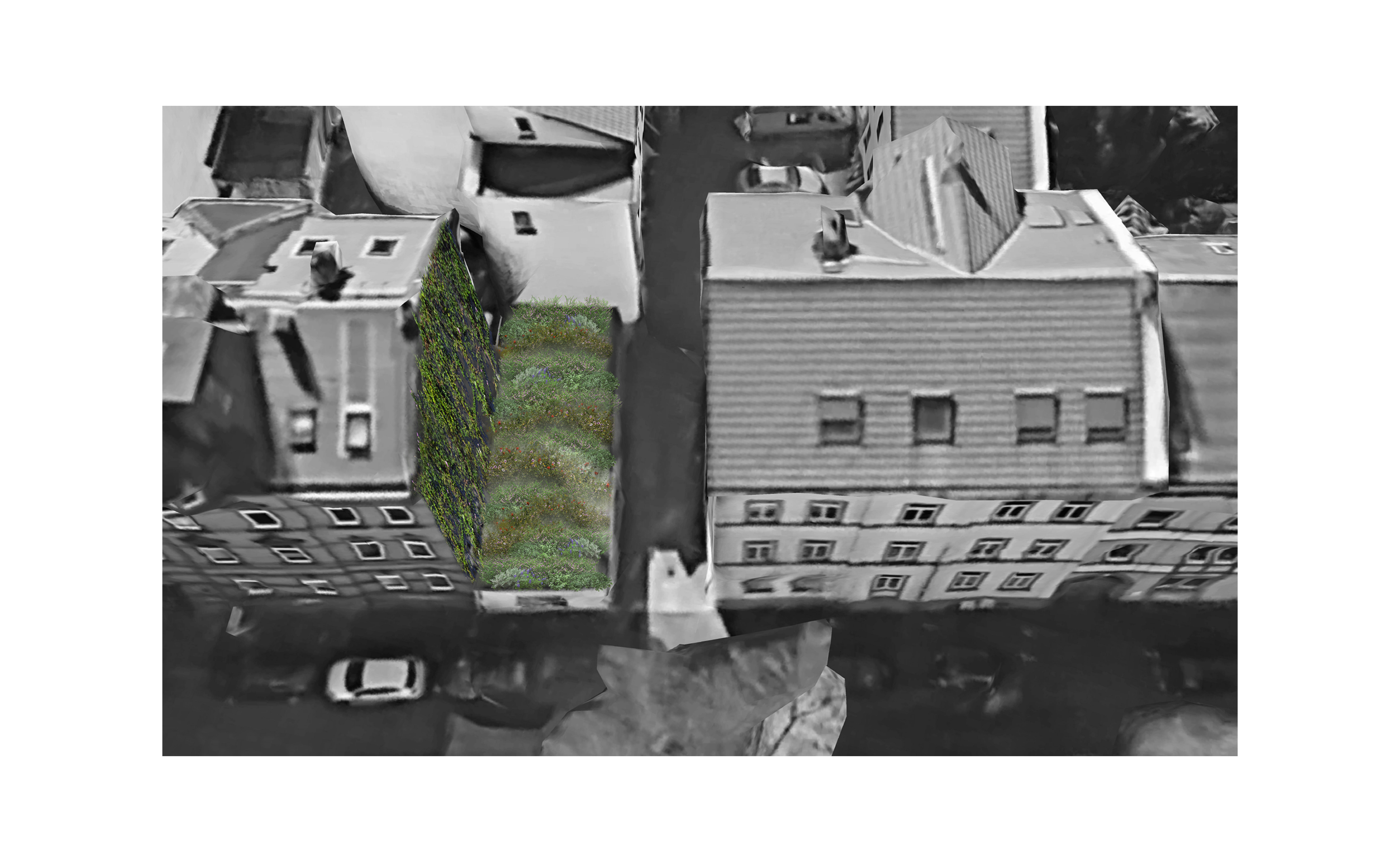 奥芬巴赫城市针灸疗法丨德国-34