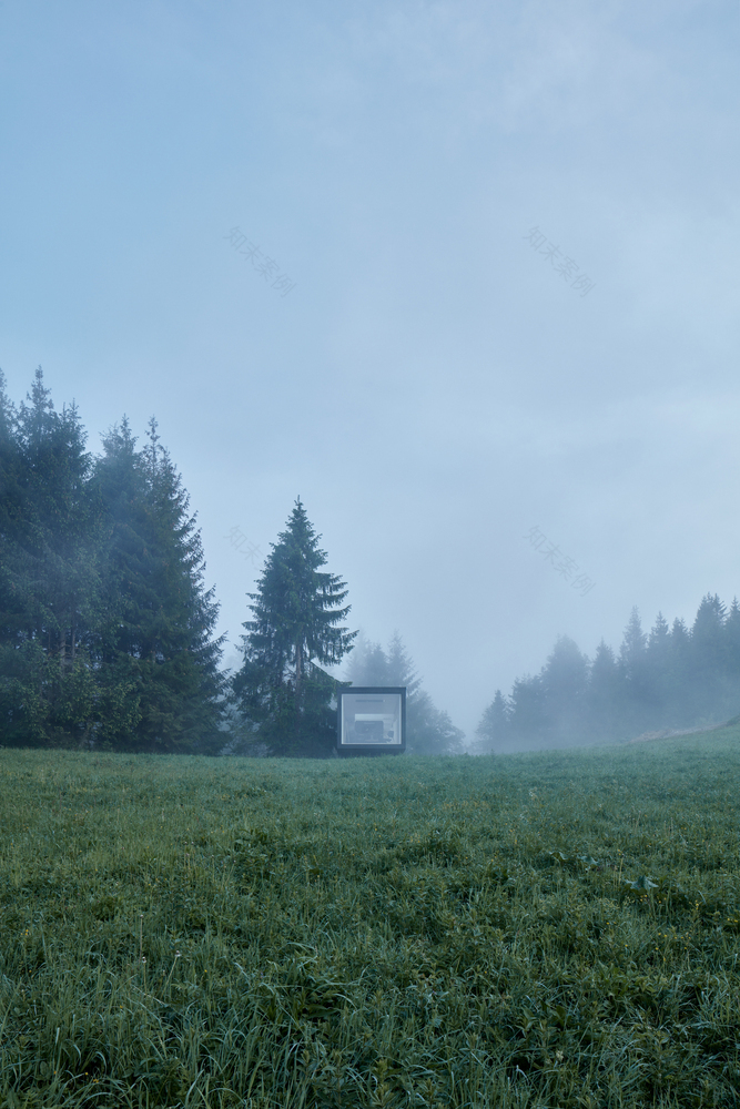 Into the Wild Ark-57