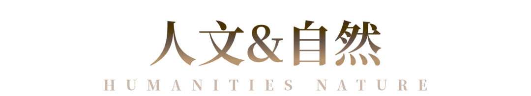 深圳粤海城联合招商项目丨中国深圳丨安奥拉设计（ANAURA）-11