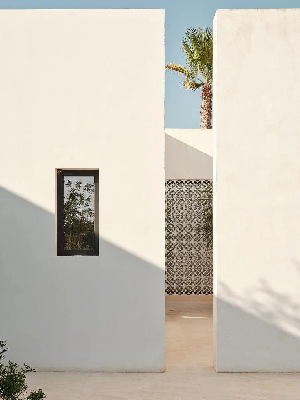 池畔松影·伊比萨山谷里的静心之所丨西班牙丨法裔伊朗建筑师帕斯卡尔·谢赫·贾瓦迪-21