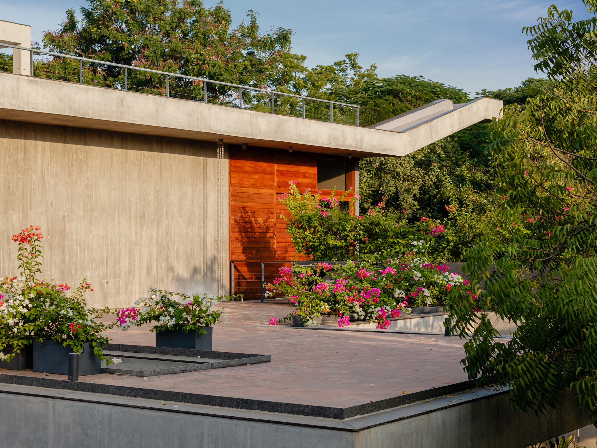 书之屋丨印度丨Modo Designs-45