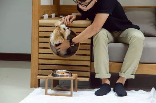 国际爱犬日特别策划 | 创意犬屋设计大赏-45