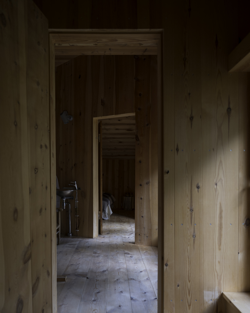 挪威杜鹃的巢室-38