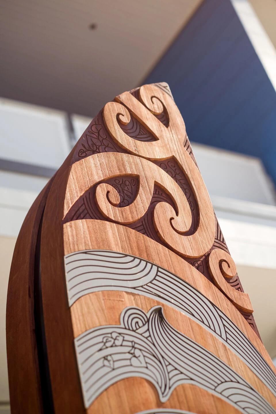 奥霍普海滩学校丨新西兰丨Ignite Architects-27