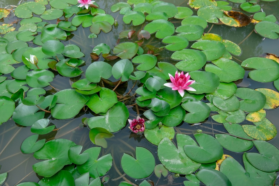 昆山市城市生态森林西入口丨中国鞍山丨PLAT Studio-69