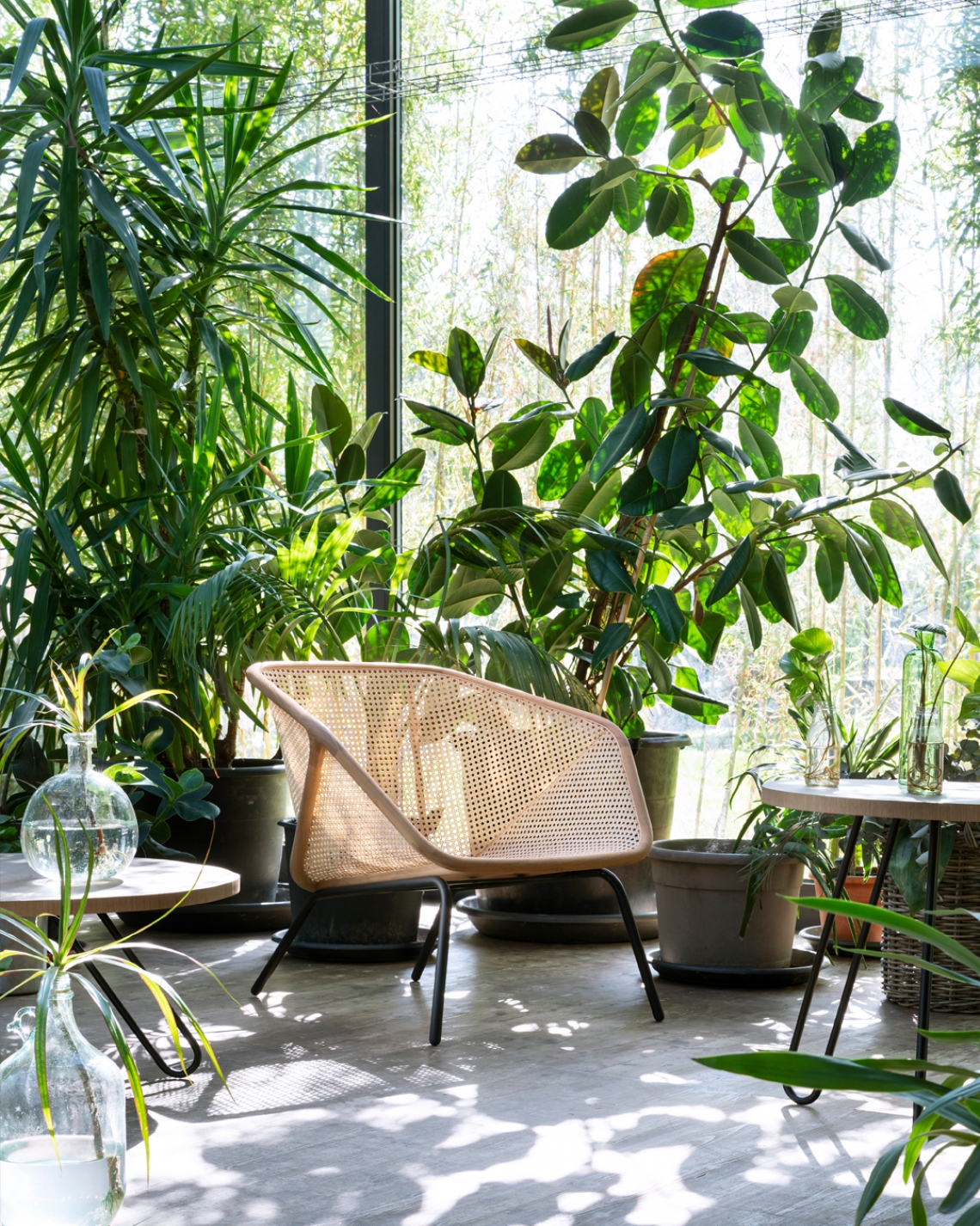 poltrona colony armchair . miniforms-6