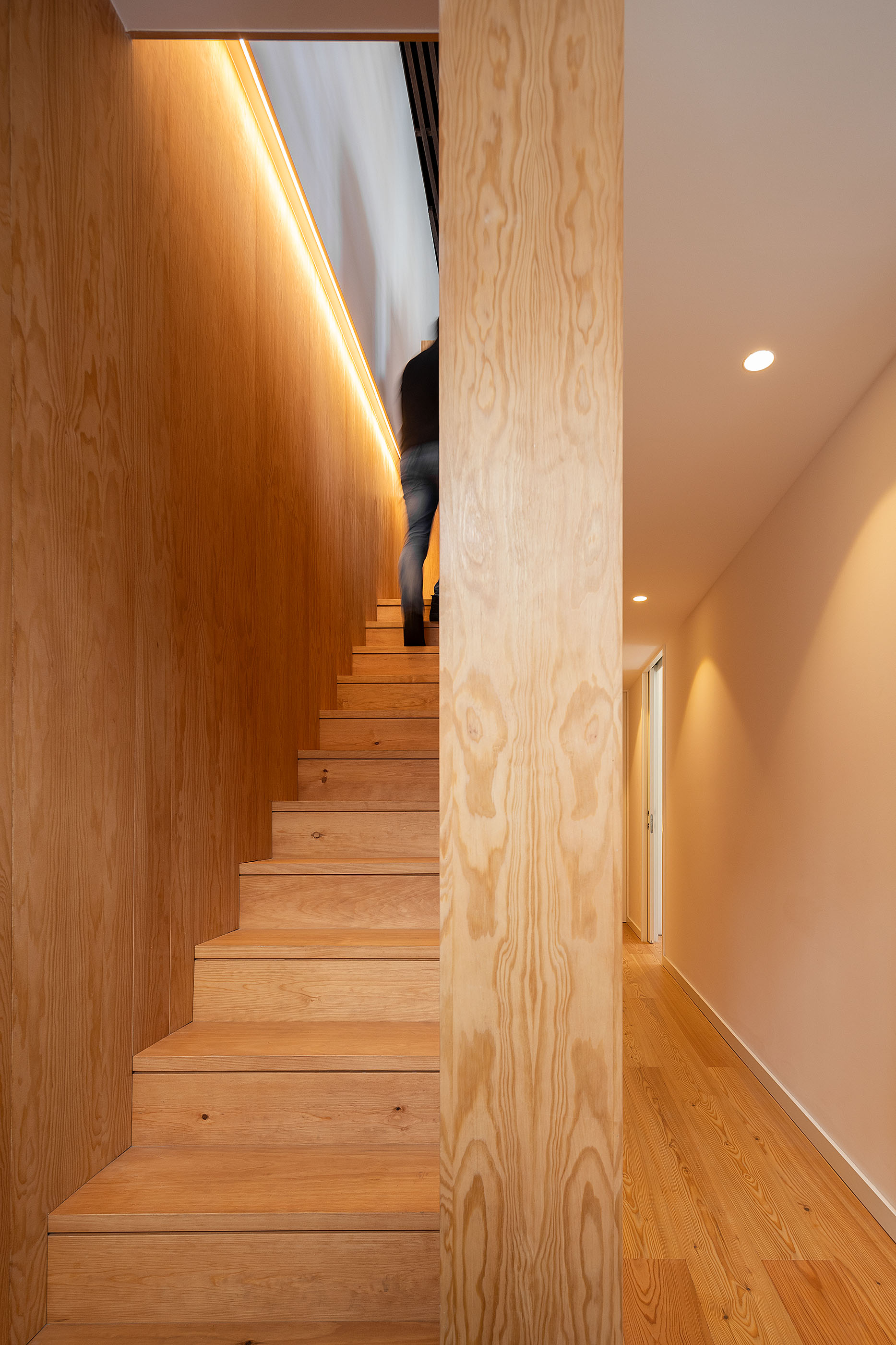 卡萨杜斯奥莱罗斯住宅 Casa dos Oleiros / PAULO MARTINS ARQ&DESIGN-18