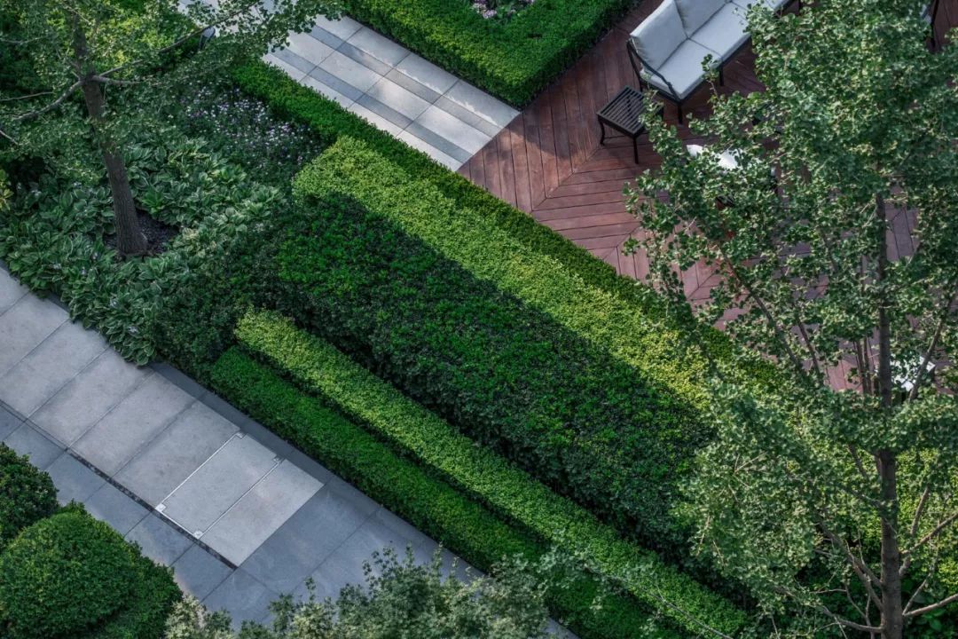 用植物营造空间氛围丨艺汉卿-7