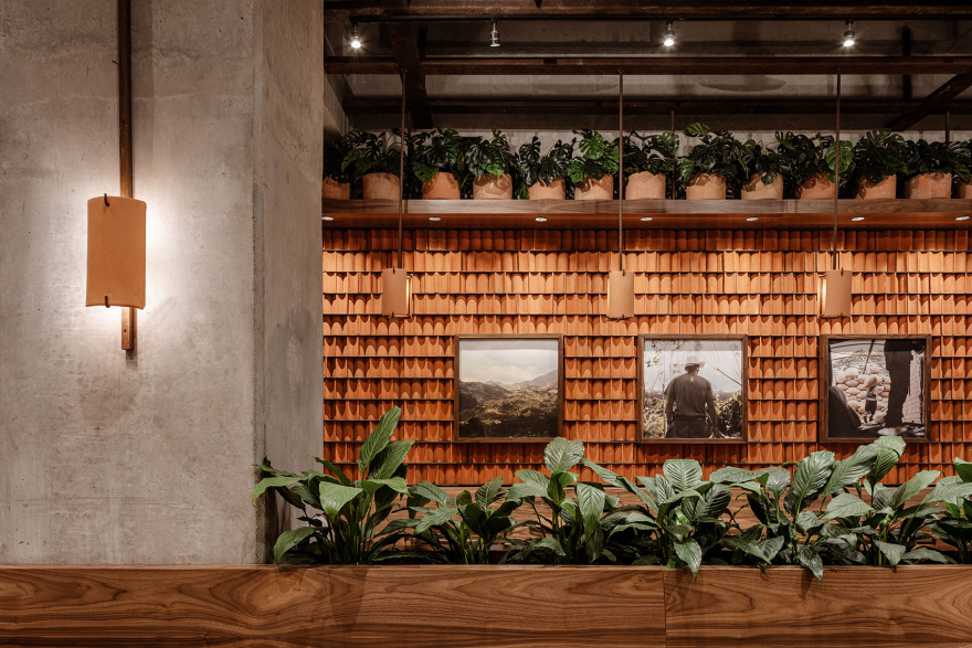 墨西哥 Kali 咖啡馆丨Concéntrico-33