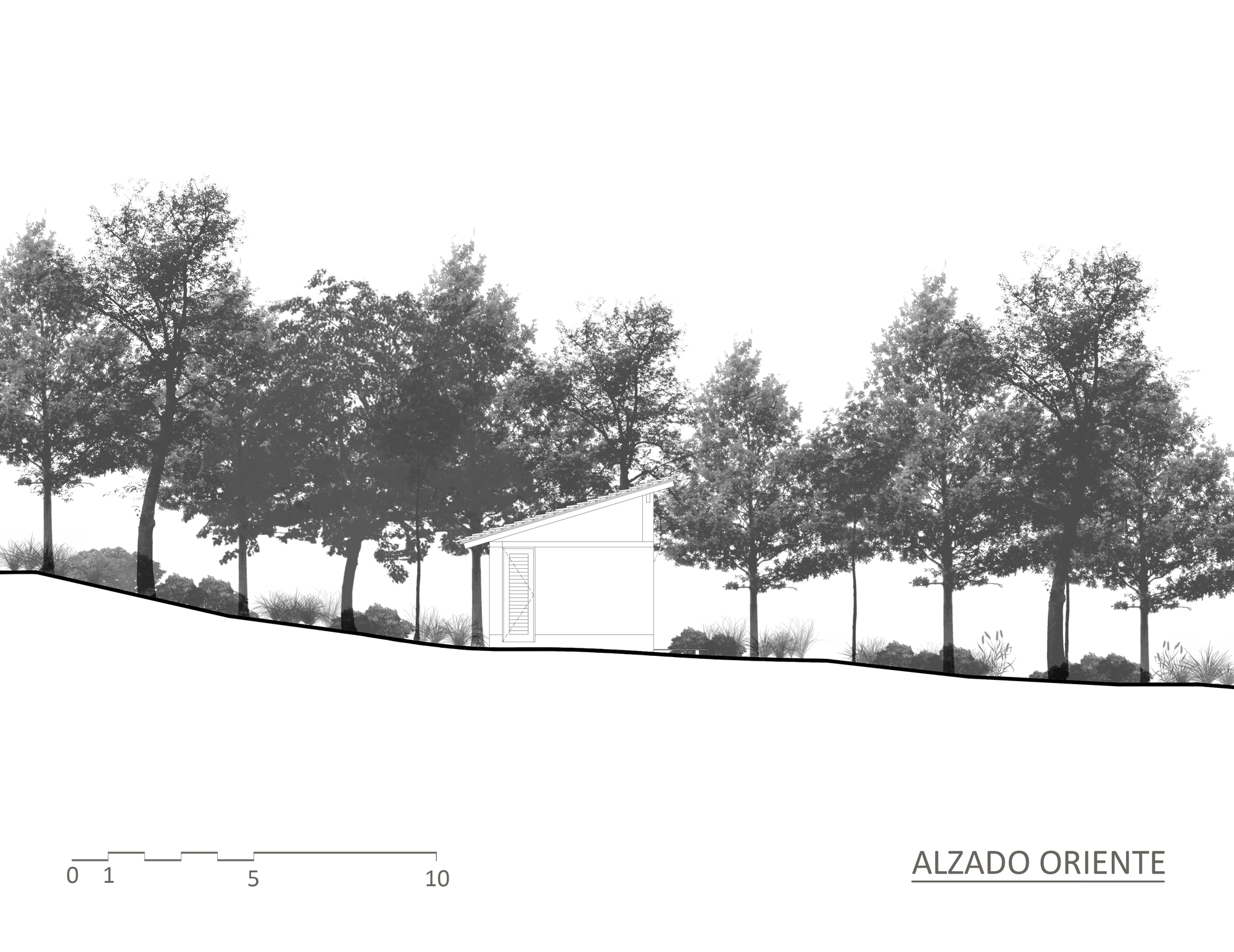 萤火虫之家丨墨西哥-24