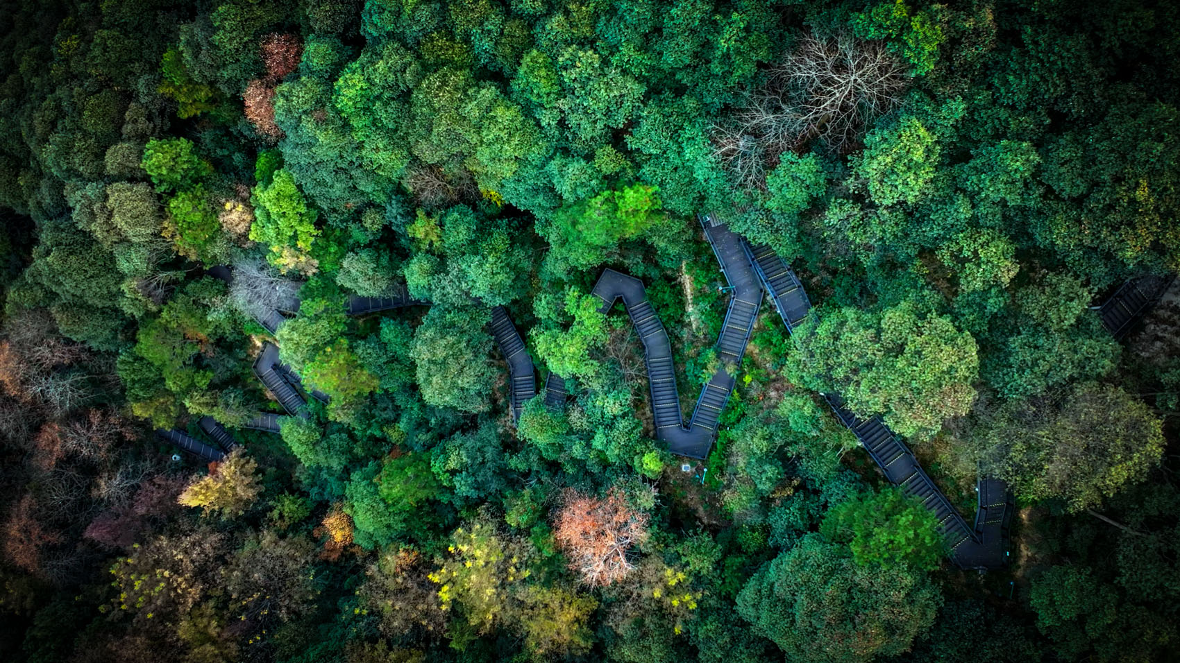 双西绿道项目丨中国杭州丨中国电建集团华东勘测设计研究院有限公司-39