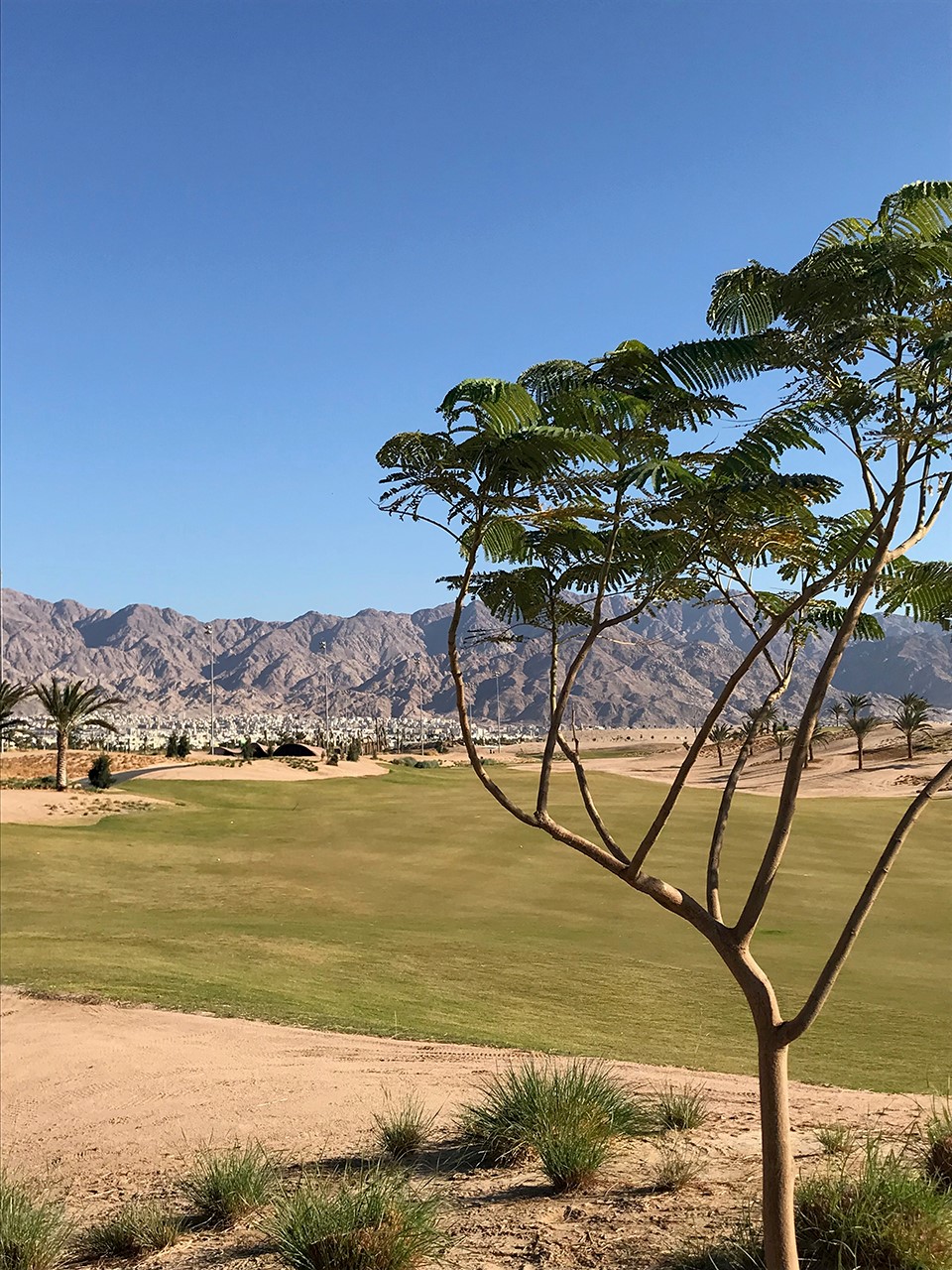 Ayla高尔夫学院和俱乐部-14