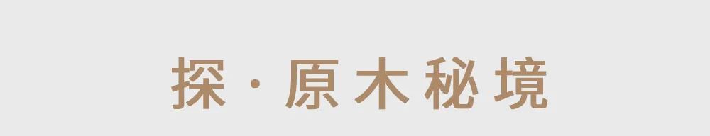 320㎡日式原木风-0