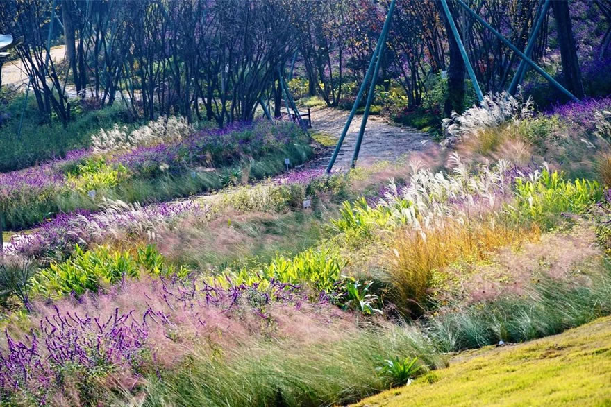 龙泉山森林公园丹景台景区丨中国成都丨CSWADI-33