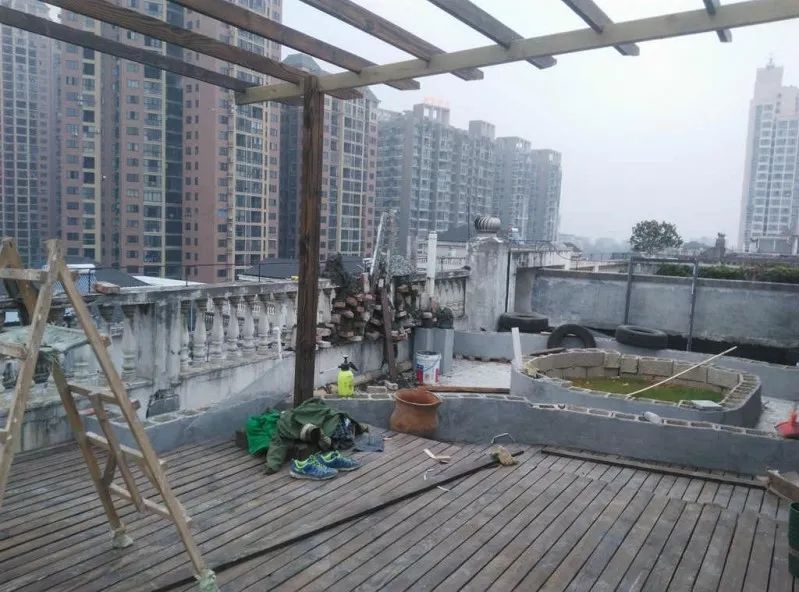 不惑之年,他自己动手建了一座楼顶花园,养花种菜喂鱼……-55