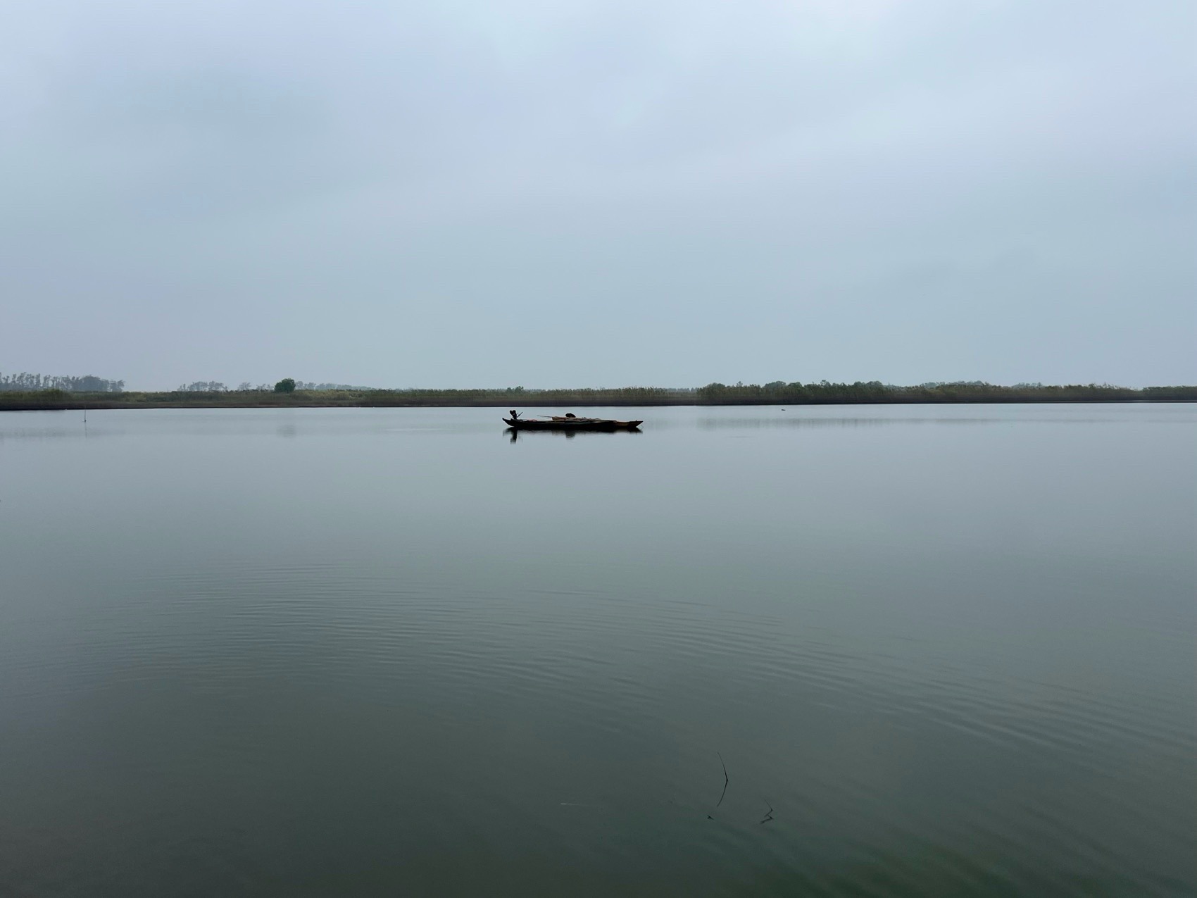 沉湖国际湿地艺术中心丨中国武汉丨迹·建筑事务所（TAO）-13