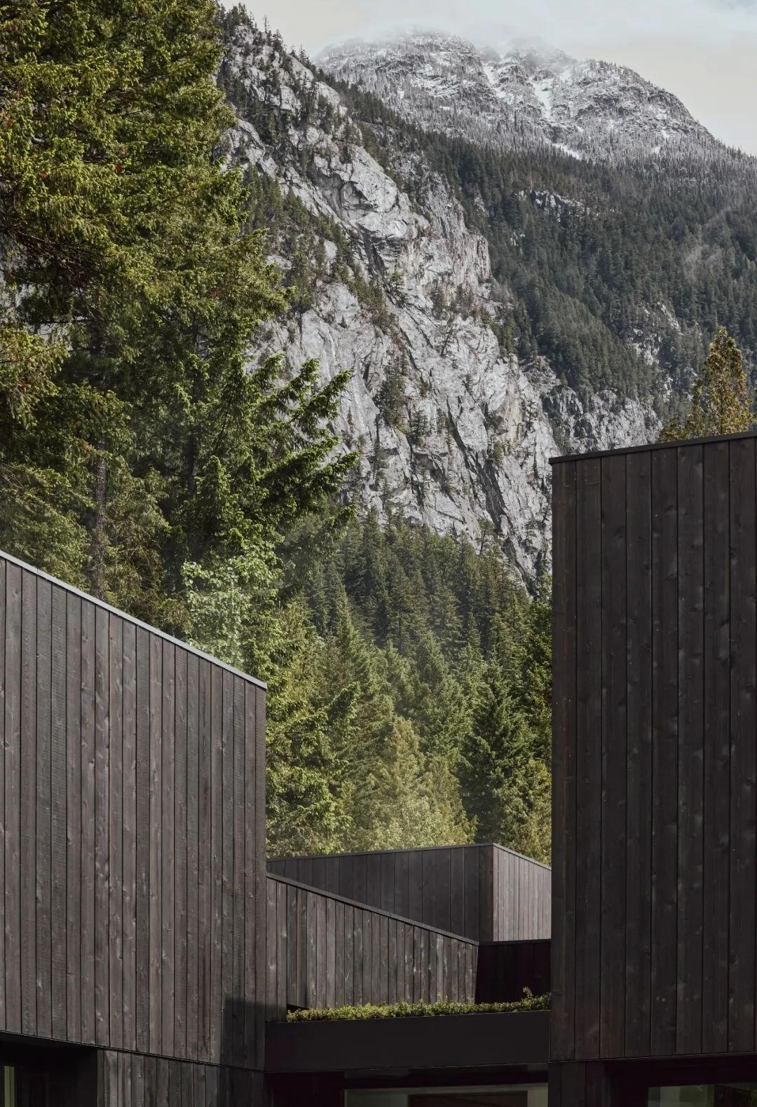 泳池房丨line architects-92