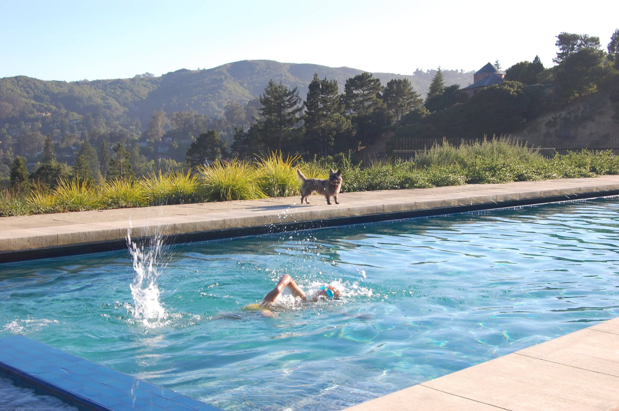 丨美国加利福尼亚丨McGlashan Architecture-3