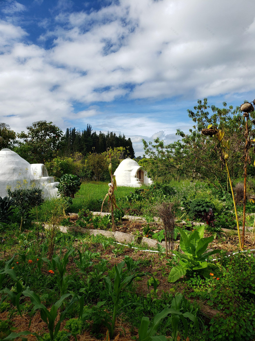 1ER TALLER DE CONSTRUCCIÓN CON TIERRA FO-41
