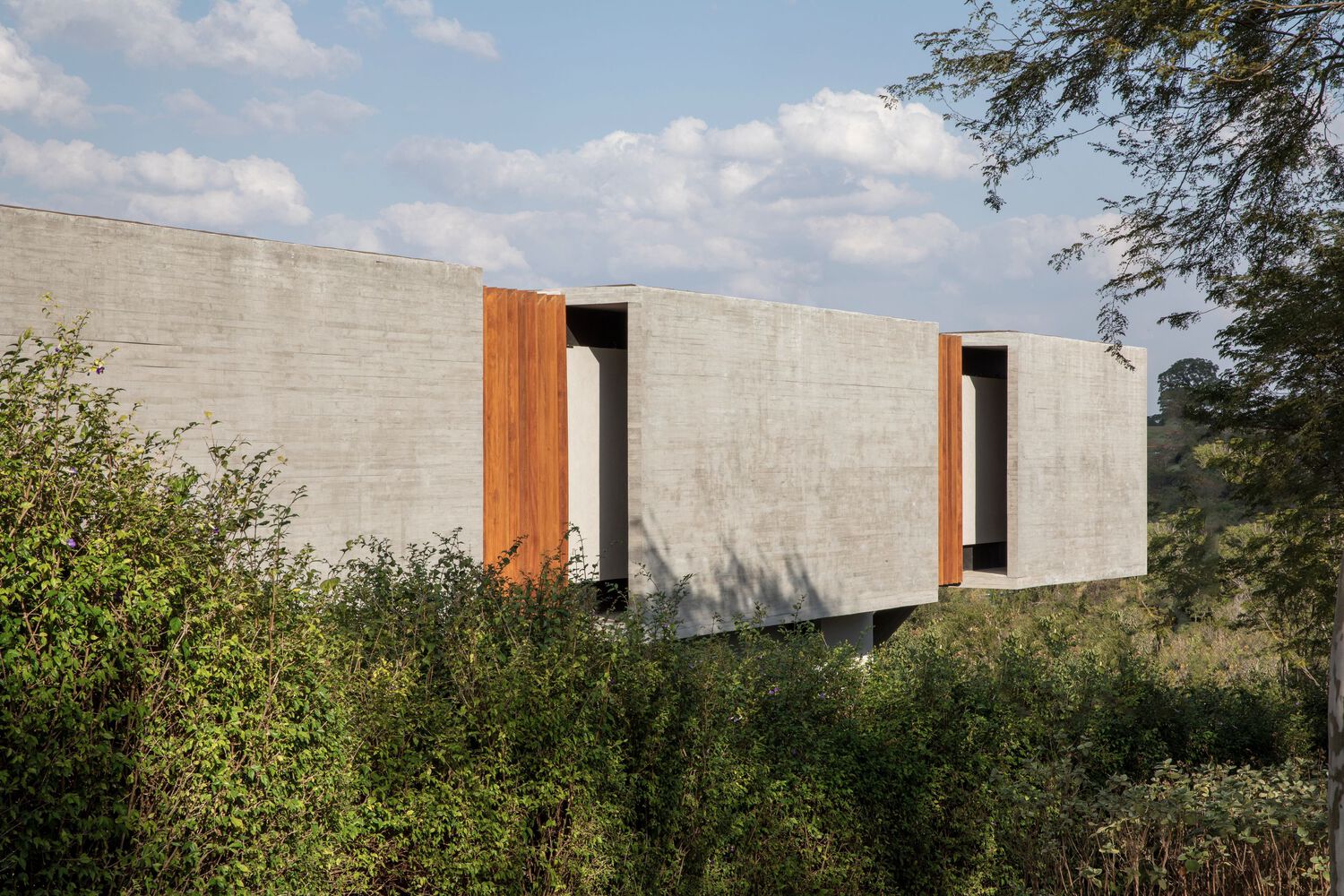 巴西 Fazenda Boa Vista Tetra House丨Felipe Caboclo Arquitetura-21