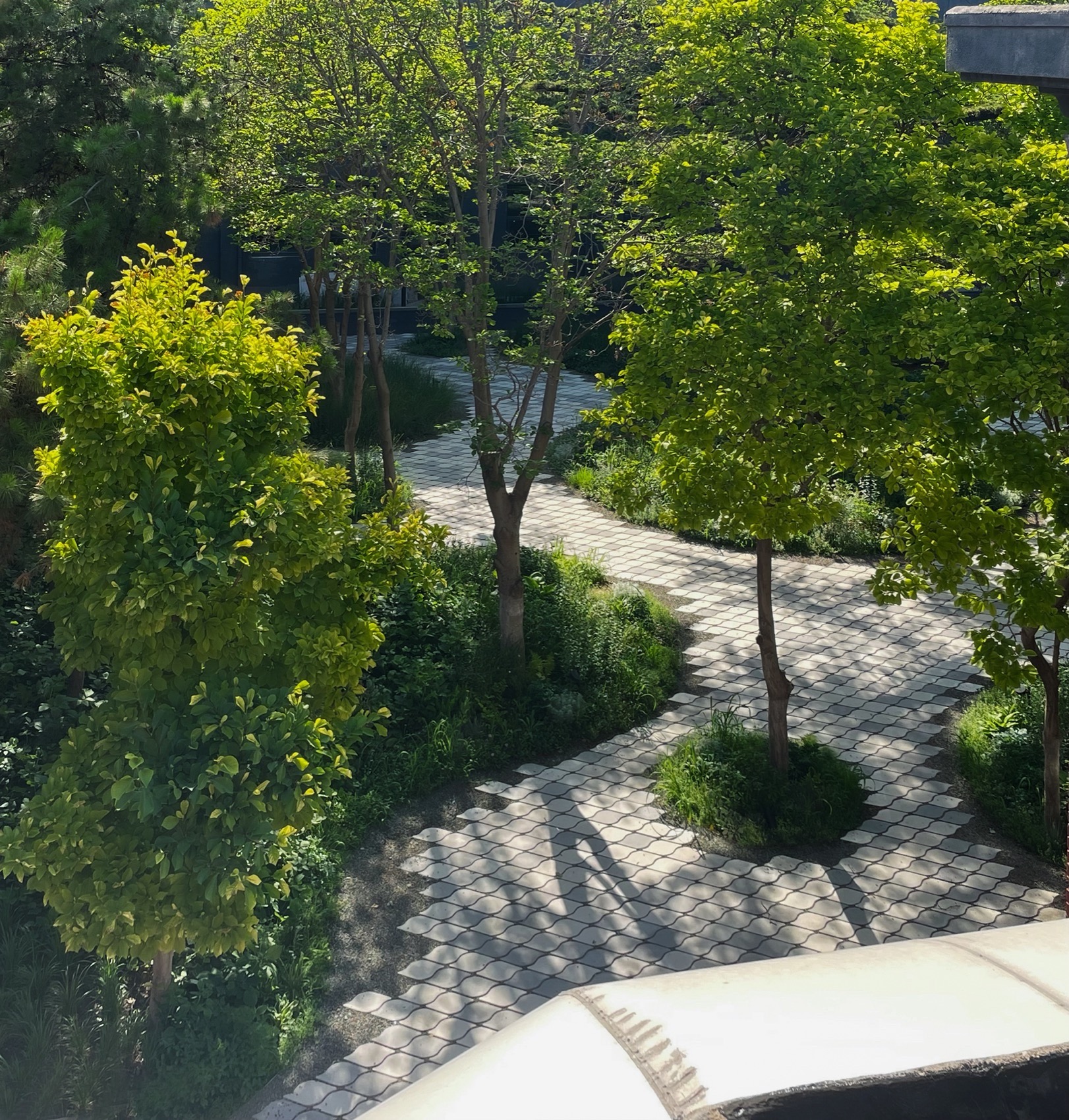 北京市三里屯西五街5号院花园丨中国北京丨OneScape一域景观事务所-257