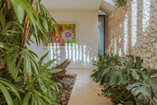 丨哥斯达黎加丨Studio Saxe-111