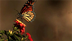 上海天华建筑设计有限公司 · GBD 设计杜文彪 ·售楼处 · GBD 杜文彪专辑-138