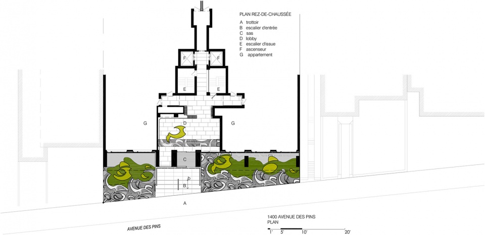 蒙特利尔 60 年代高层住宅的翻新重生-31